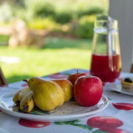 Tra Pineta E Mare Cristallino Holiday home